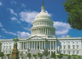 government