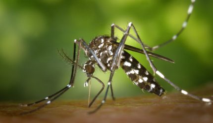 Zika spread causing PR problems for CDC