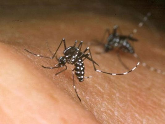 zika virus pr crisis