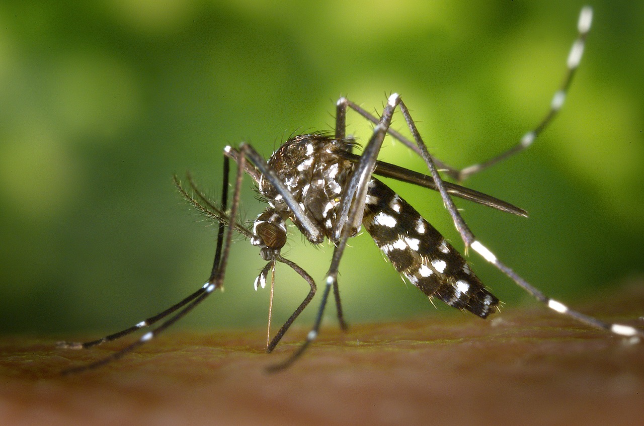 Zika spread causing PR problems for CDC