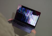 computer bug