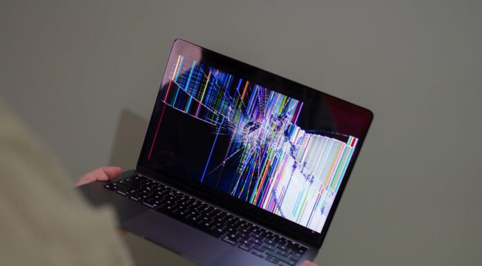 computer bug