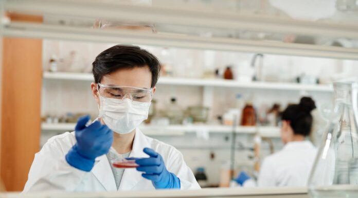 Aligning Internal Branding and Messaging for Experimental Or Side Products lab experiment